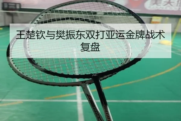 王楚钦与樊振东双打亚运金牌战术复盘